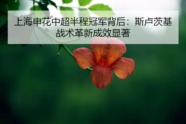 shang-hai-shen-hua-zhong-chao-ban-cheng-guan-jun-bei-hou-si-lu-ci-ji-zhan-shu-ge-xin-cheng-xiao-xian-zhu-2-203.jpg