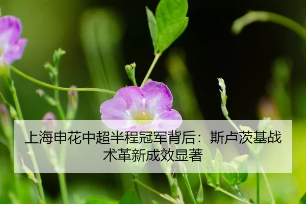 shang-hai-shen-hua-zhong-chao-ban-cheng-guan-jun-bei-hou-si-lu-ci-ji-zhan-shu-ge-xin-cheng-xiao-xian-zhu-3-133.jpg