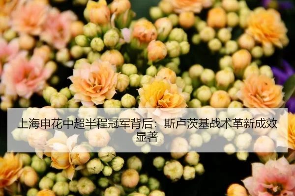 上海申花中超半程冠军背后：斯卢茨基战术革新成效显著