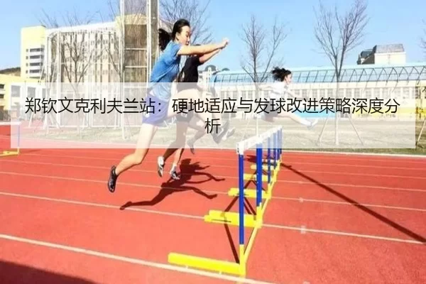 zheng-qin-wen-ke-li-fu-lan-zhan-ying-di-shi-ying-yu-fa-qiu-gai-jin-ce-lve-shen-du-fen-xi-3-516.jpg
